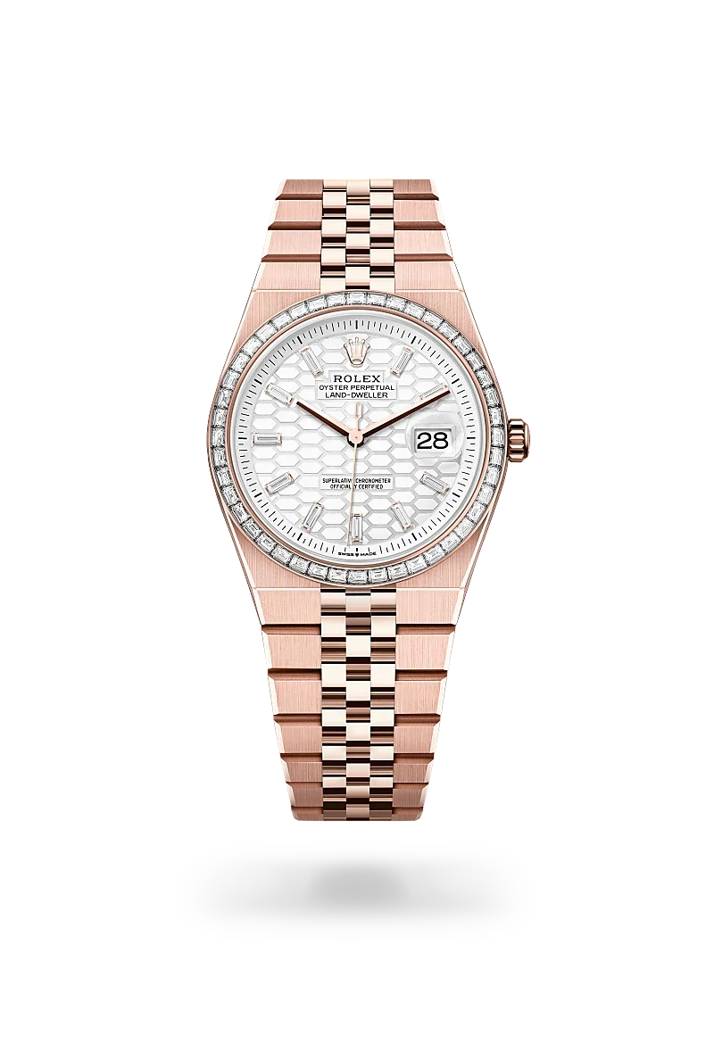 Rolex Land-Dweller 36 in 18 kt Everose gold, M127285TBR-0002 | Walters & Hogsett