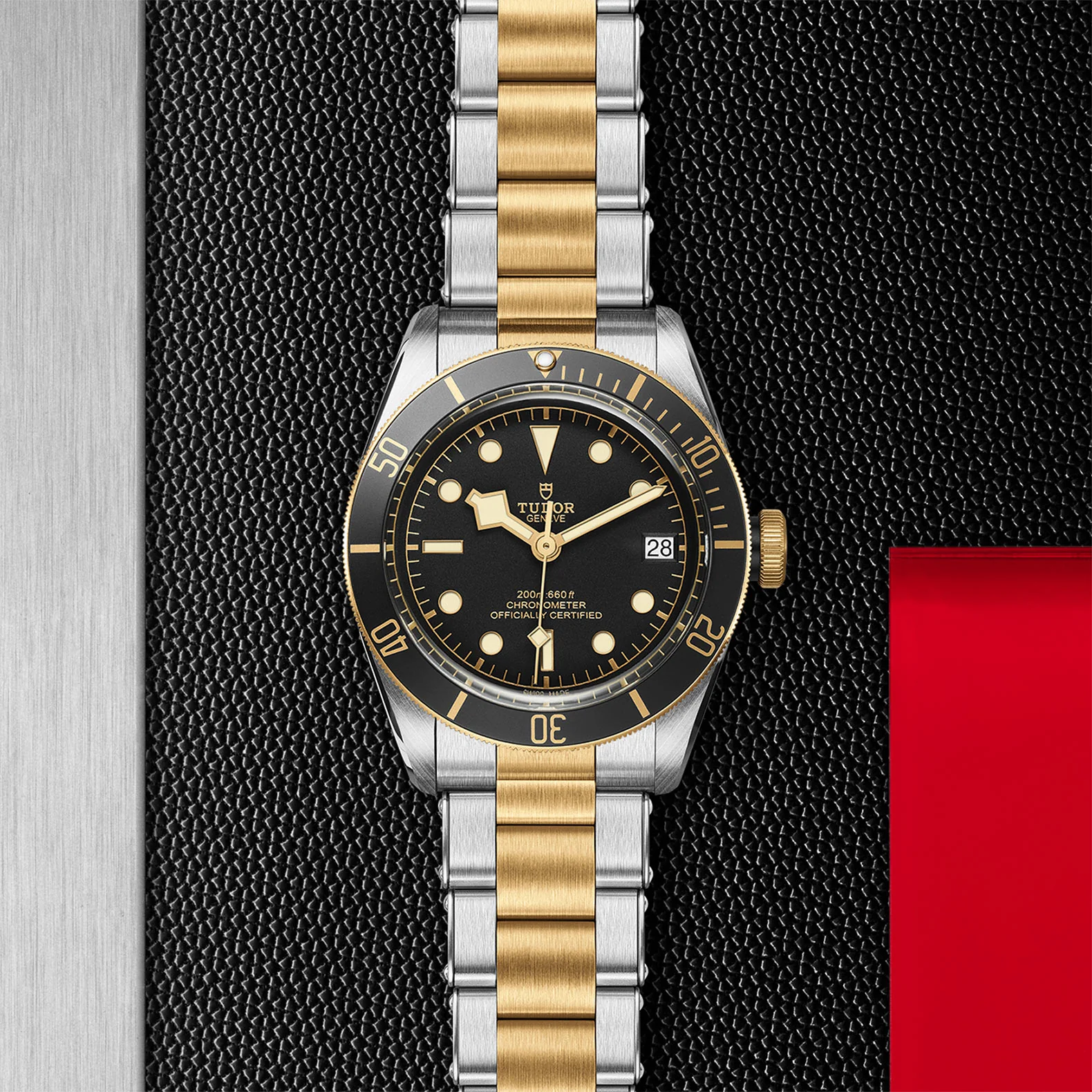 TUDOR Black Bay S&G Men's