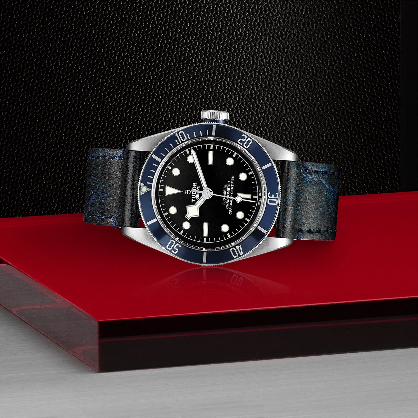 TUDOR Black Bay Men's