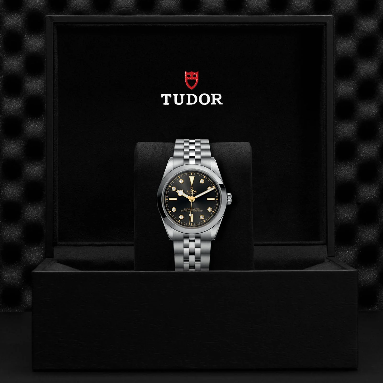 TUDOR Black Bay One 36 Women's