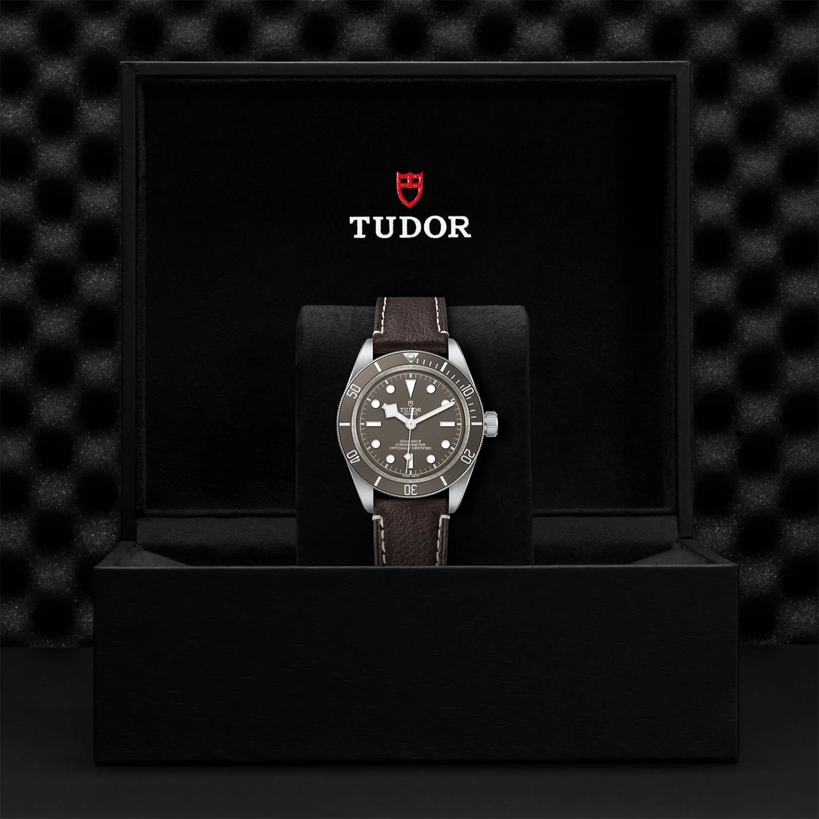 TUDOR Black Bay 58 925 Men's
