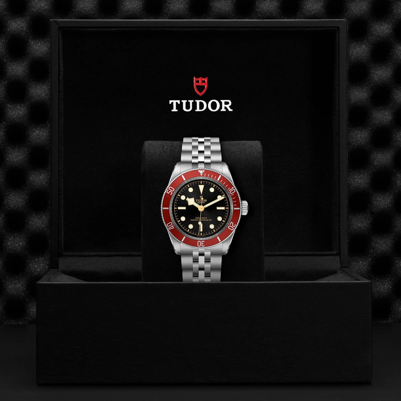 TUDOR Black Bay Men's