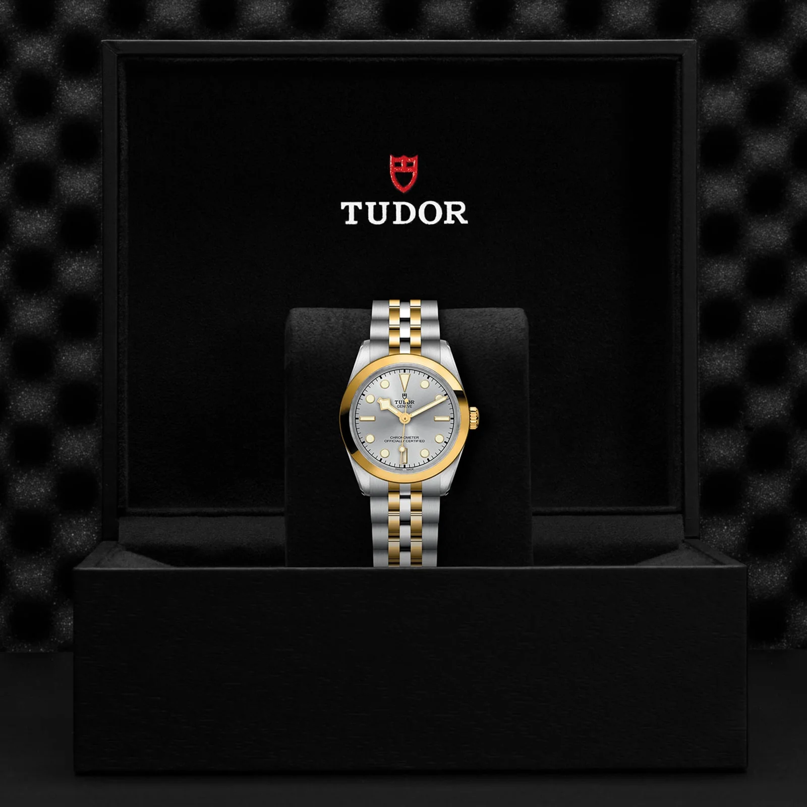 TUDOR Black Bay One 31 S&G Women's