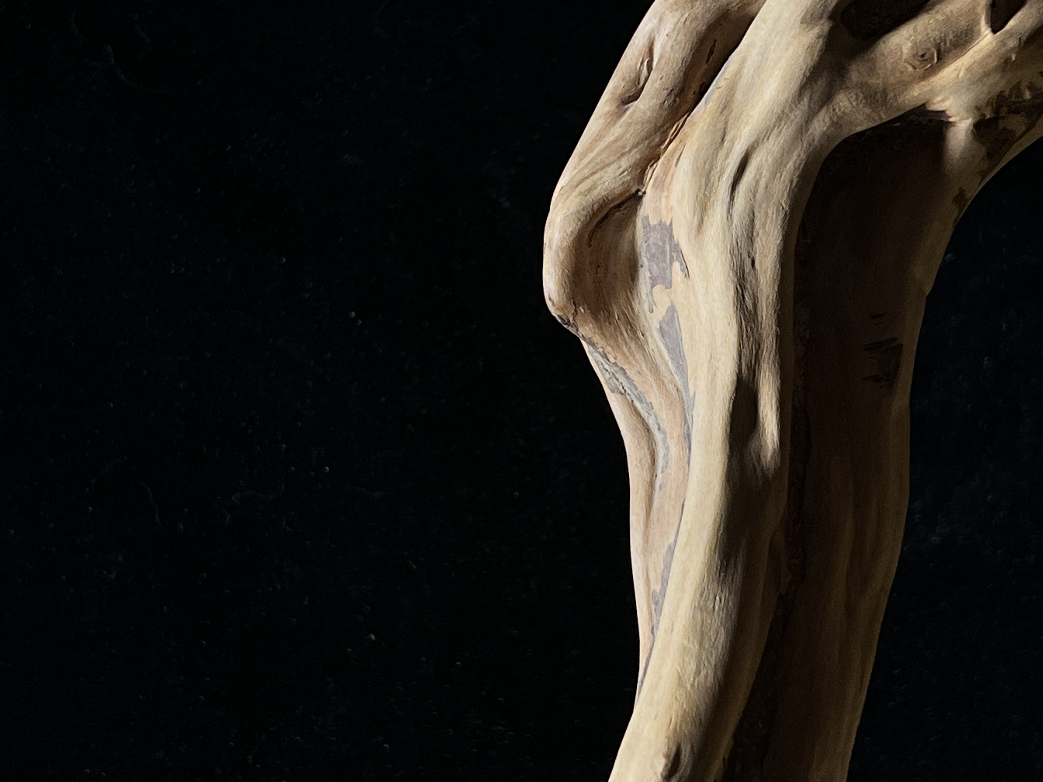 Original handmade retro Chinese root art table lamp 