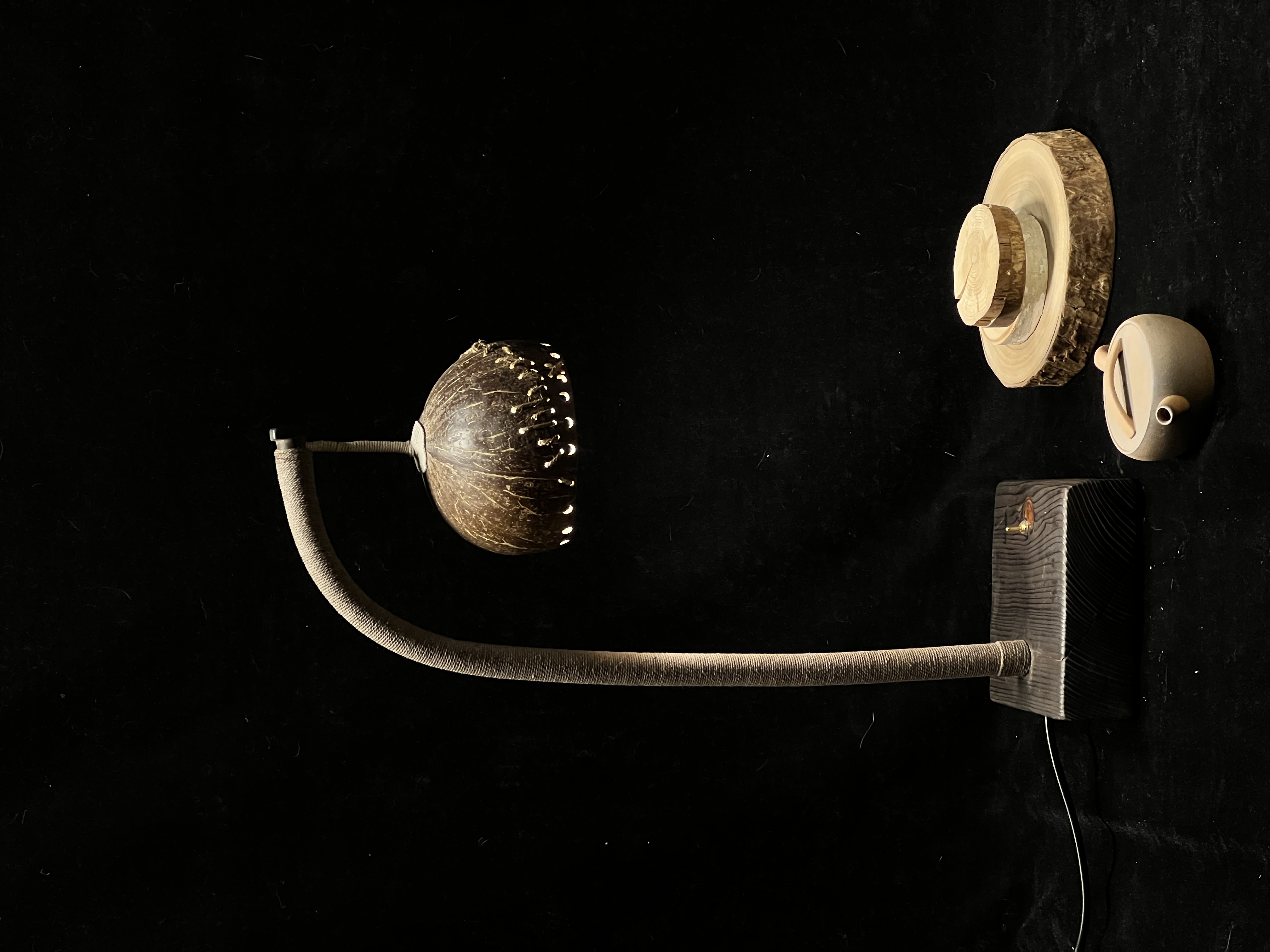 Original handmade creative coconut shell table lamp