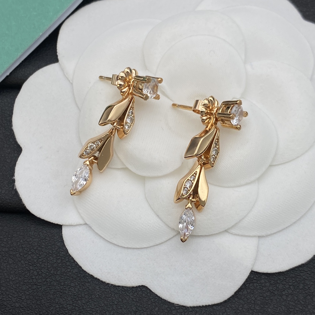 Tiffany&Co. New Earrings