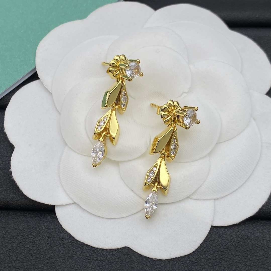 Tiffany&Co. New Earrings