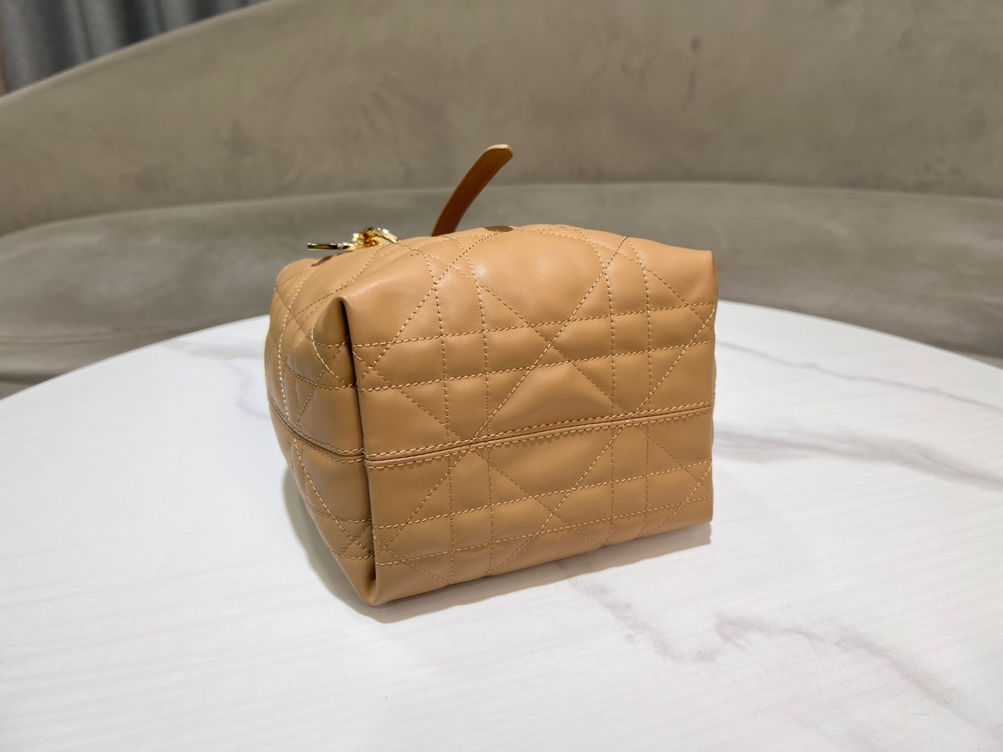 Dior Toujours Vertical Medium Bag