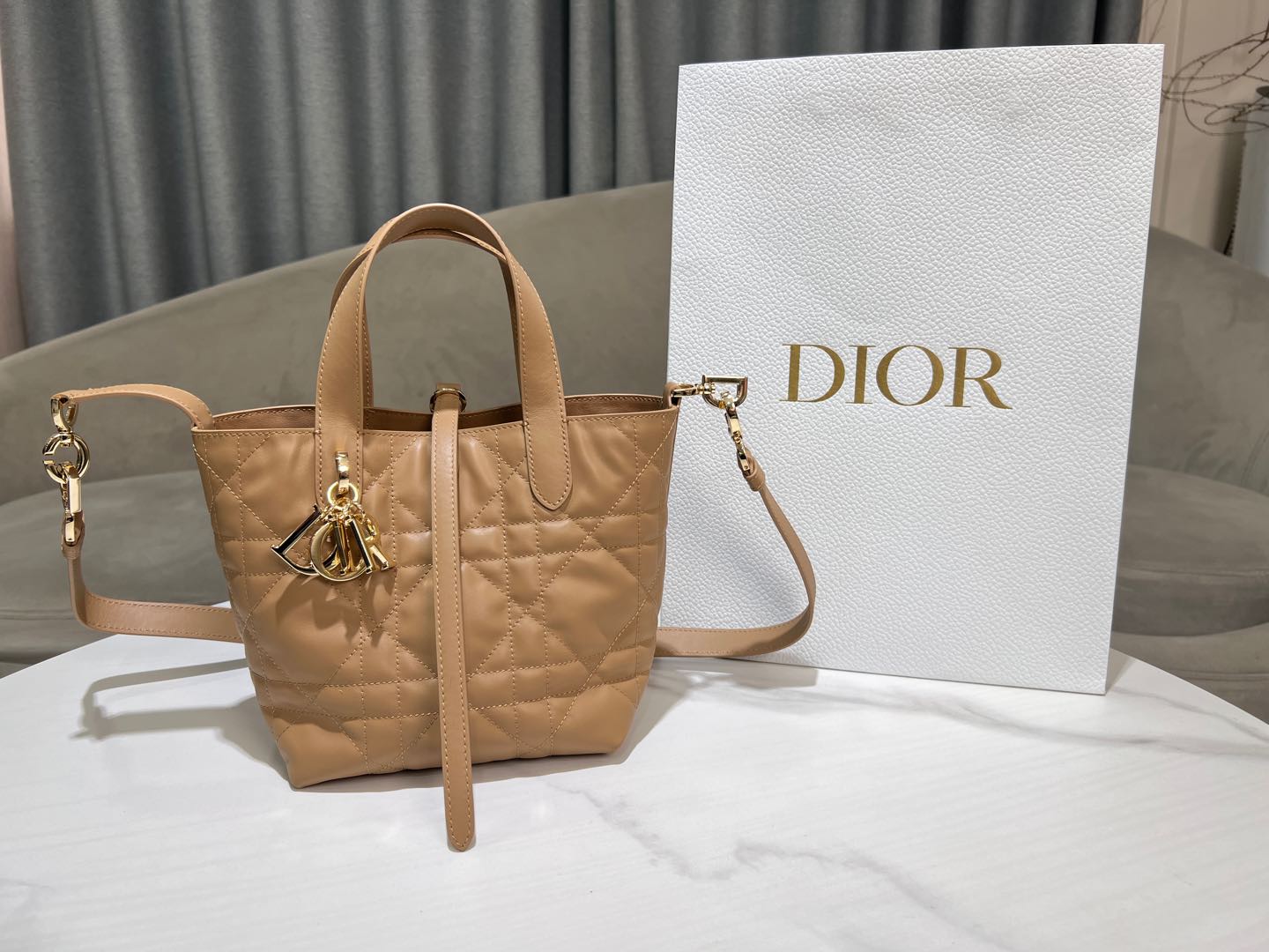 Dior Toujours Vertical Medium Bag