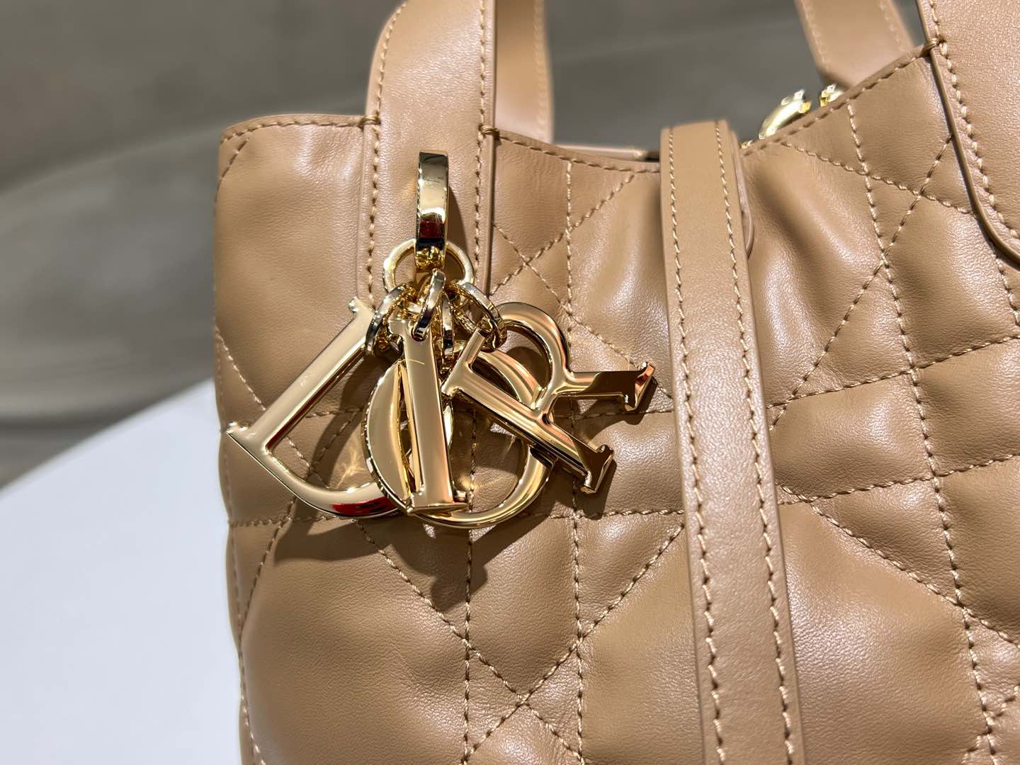 Dior Toujours Vertical Medium Bag