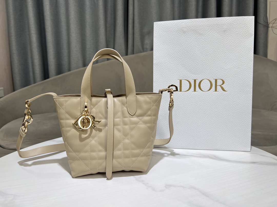 Dior Toujours Vertical Medium Bag