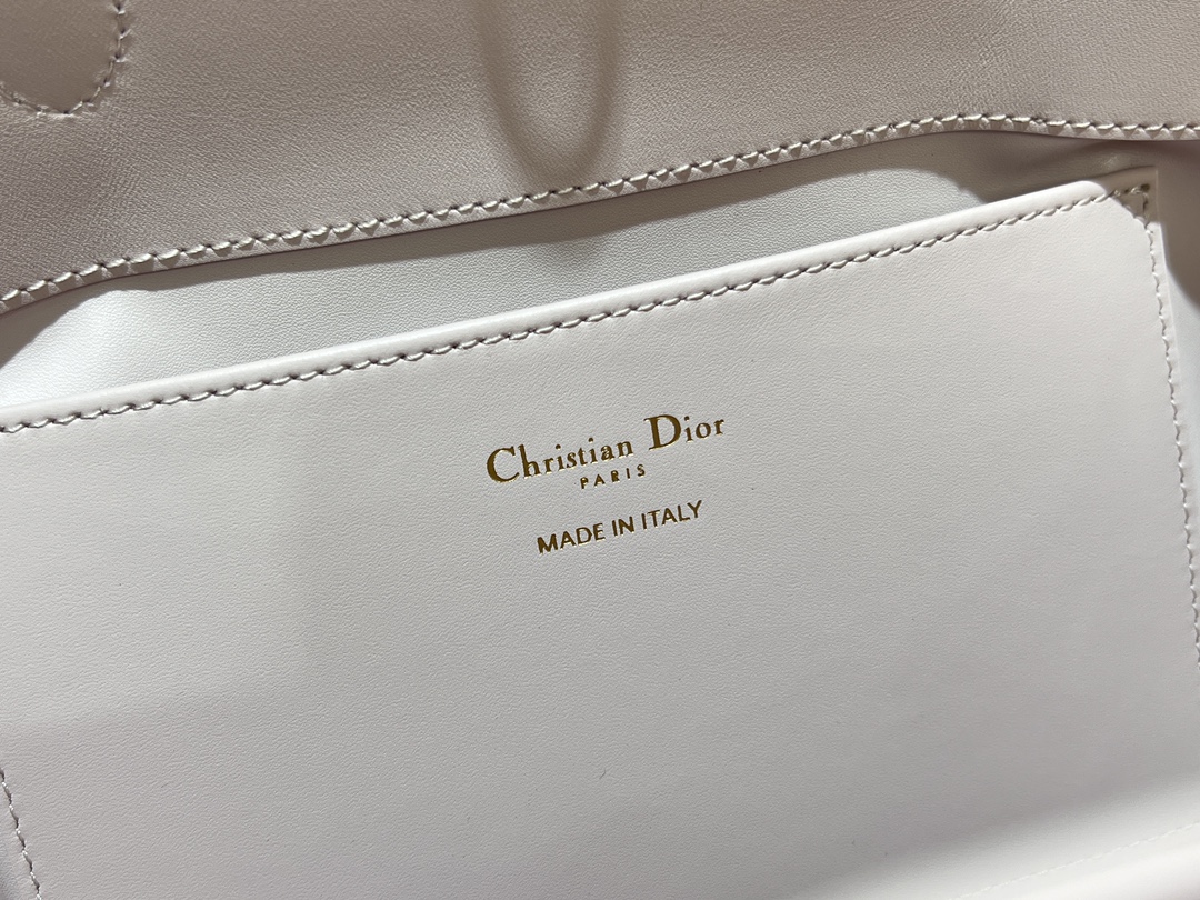 Dior Toujours Vertical Medium Bag