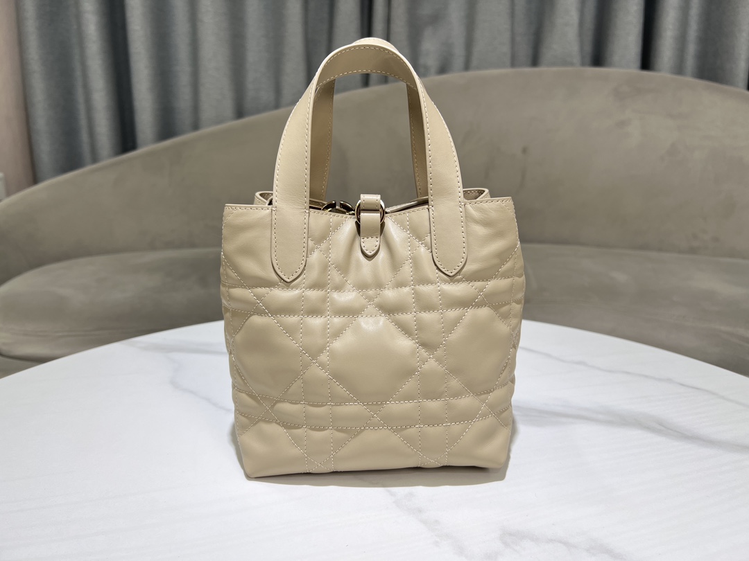Dior Toujours Vertical Medium Bag