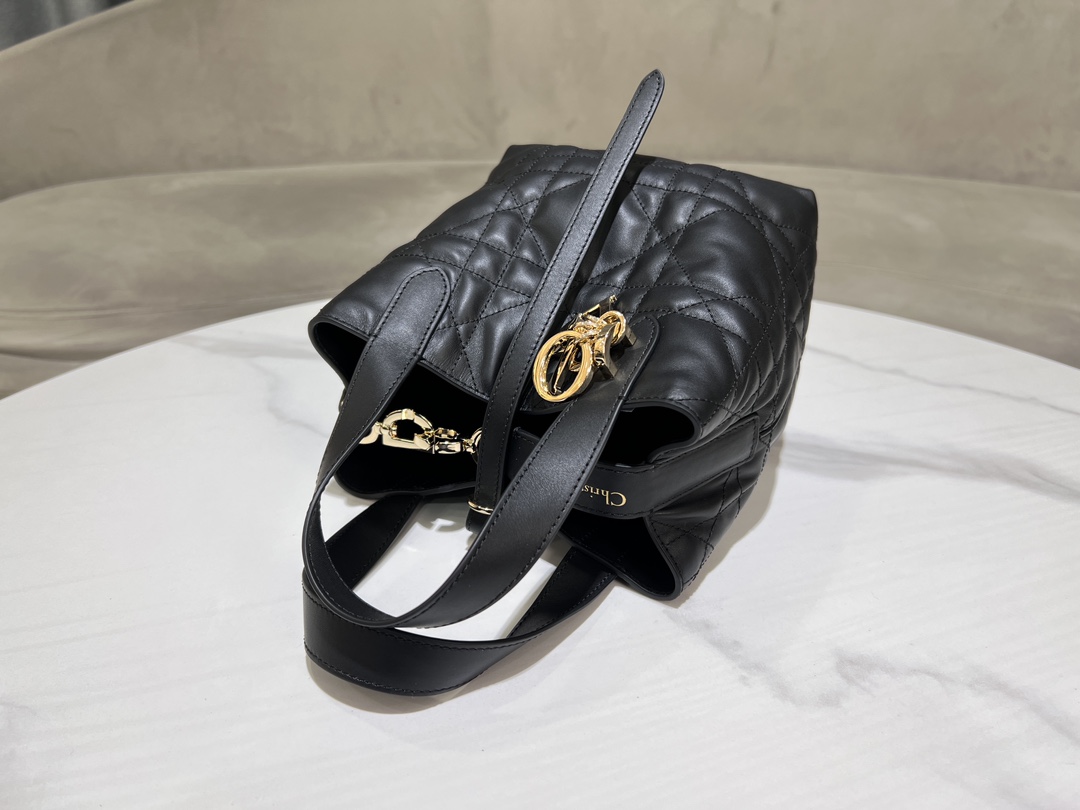 Dior Toujours Vertical Medium Bag