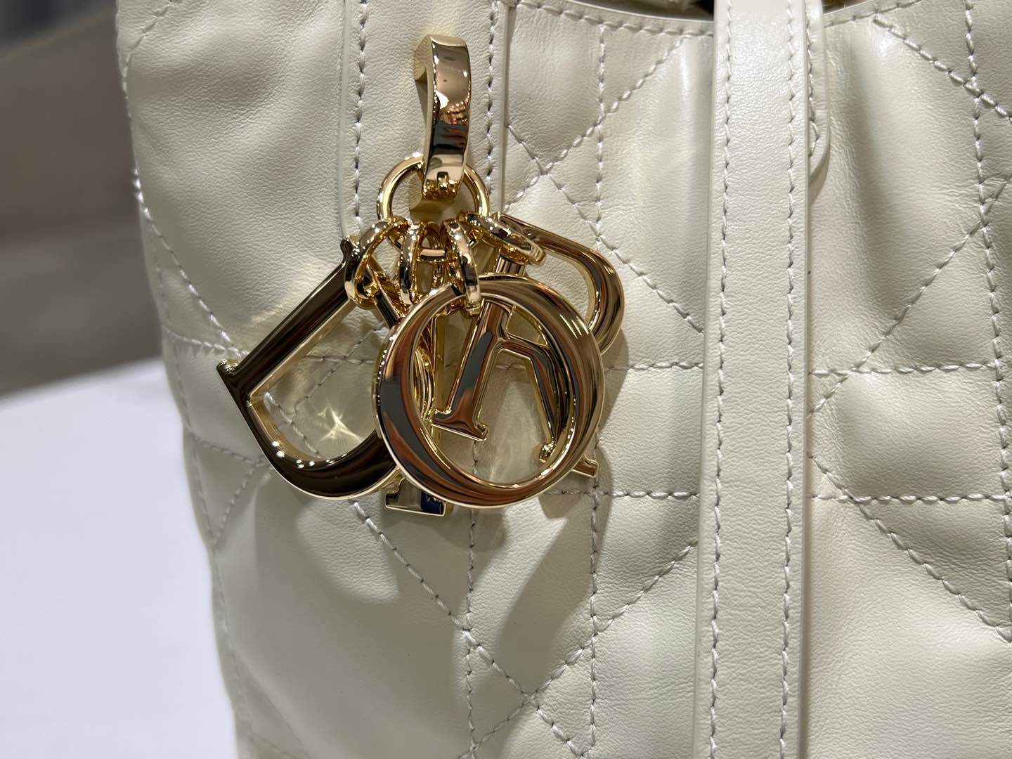 Dior Toujours Vertical Medium Bag