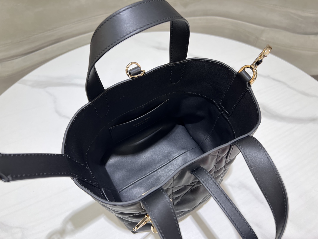Dior Toujours Vertical Medium Bag