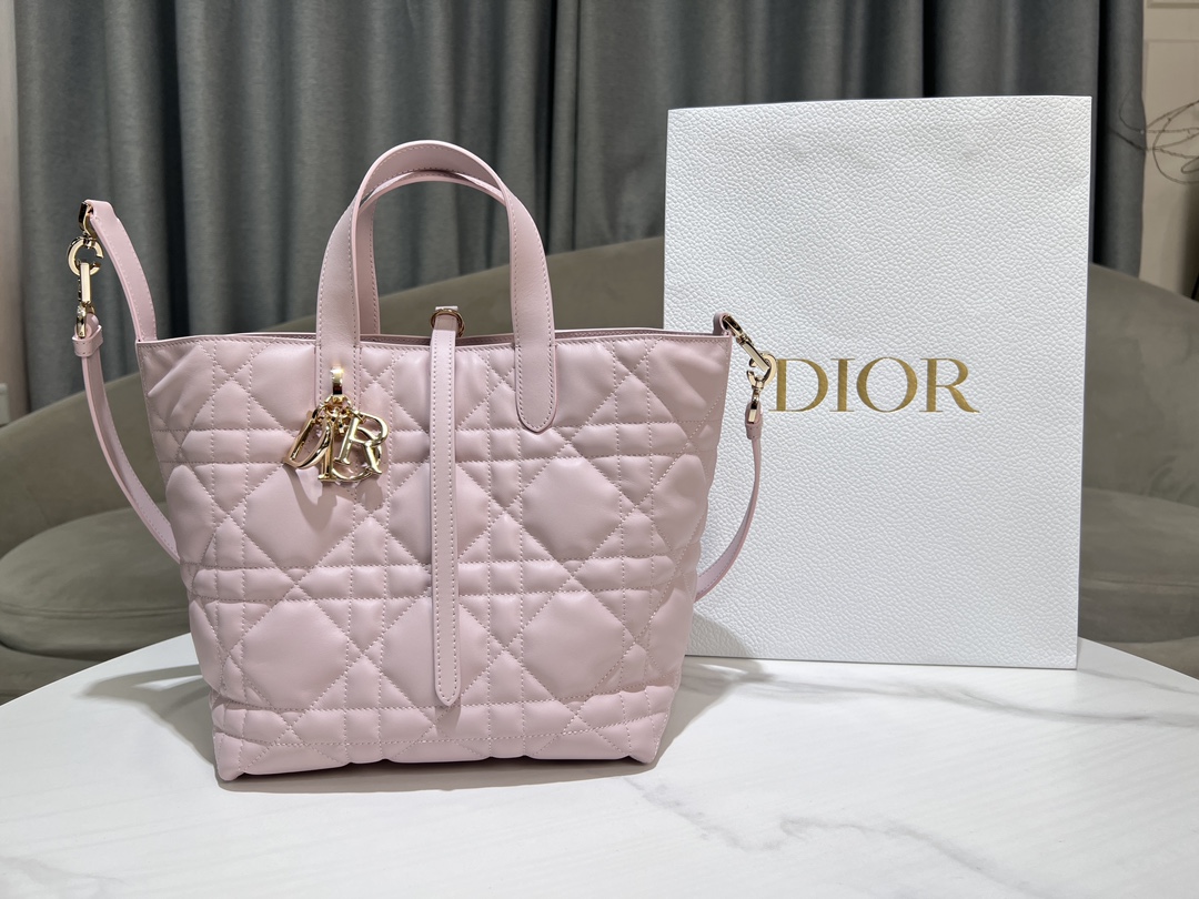 Dior Toujours Vertical Medium Bag
