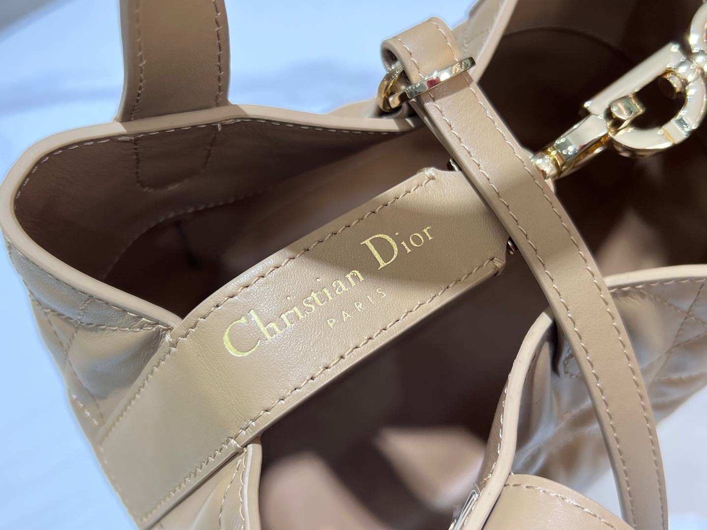 Dior Toujours Vertical Medium Bag