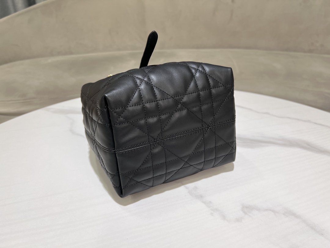 Dior Toujours Vertical Medium Bag