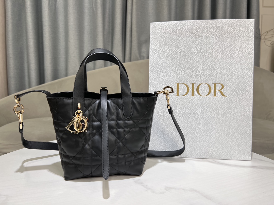 Dior Toujours Vertical Medium Bag