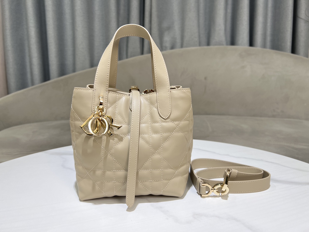 Dior Toujours Vertical Medium Bag