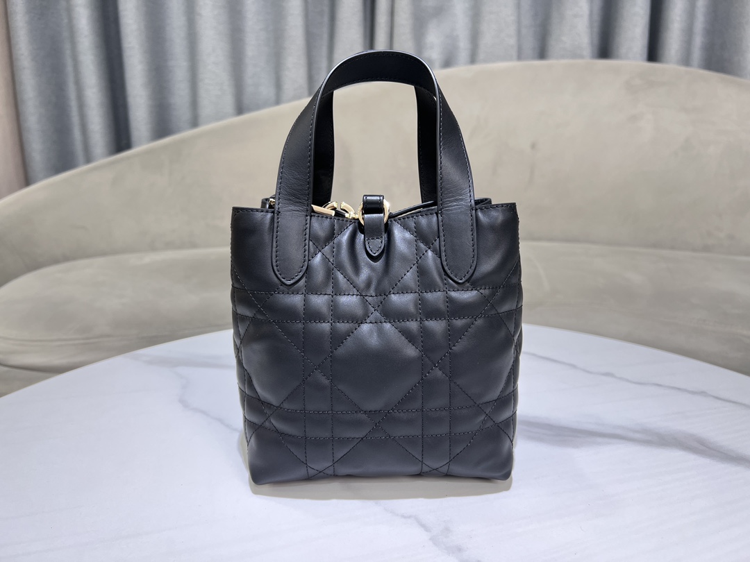 Dior Toujours Vertical Medium Bag