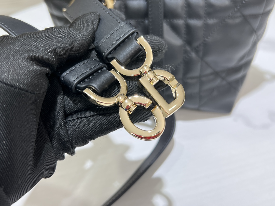 Dior Toujours Vertical Medium Bag
