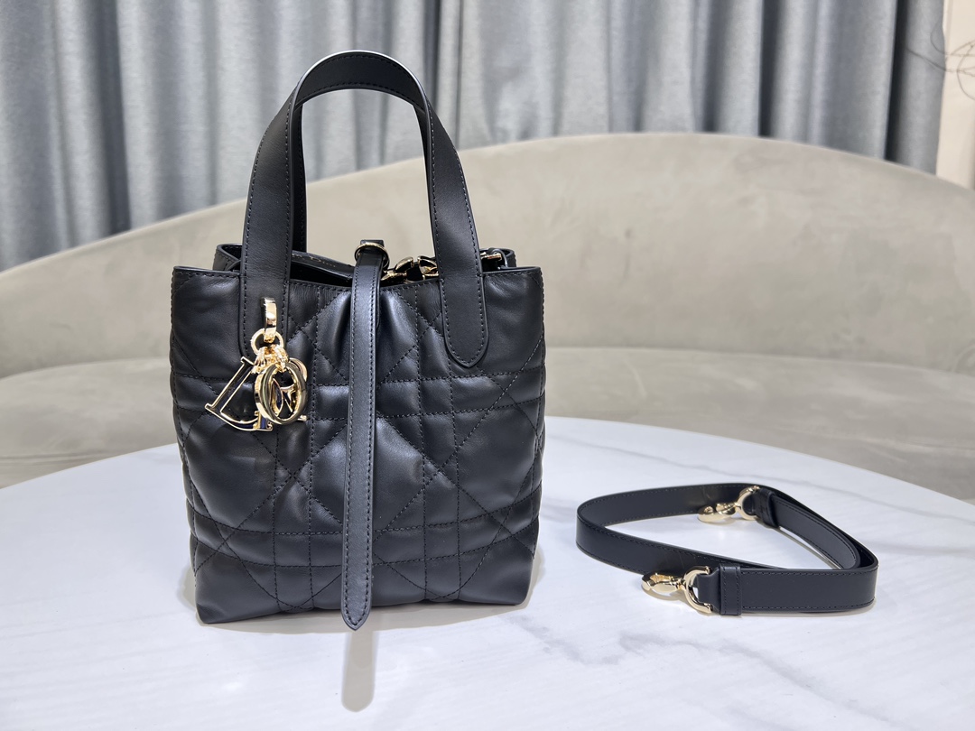 Dior Toujours Vertical Medium Bag