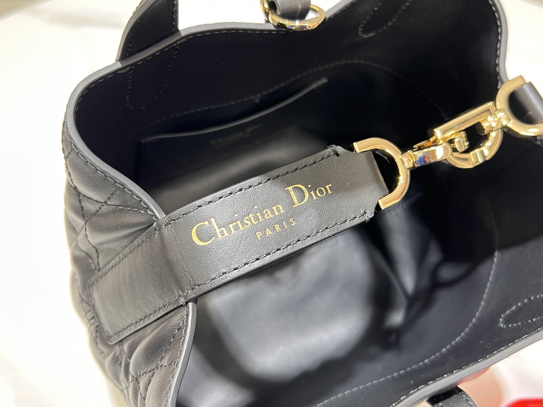 Dior Toujours Vertical Medium Bag