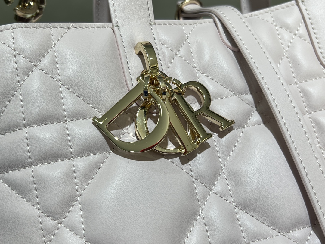 Dior Toujours Vertical Medium Bag