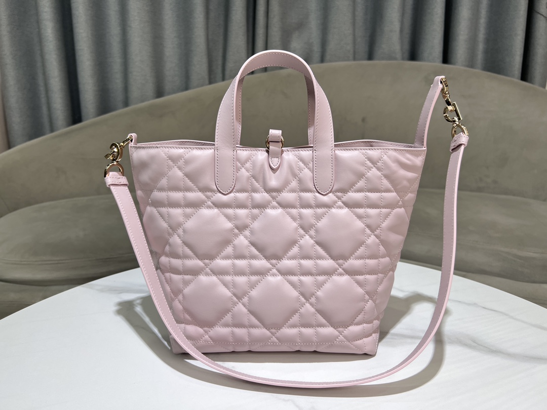 Dior Toujours Vertical Medium Bag
