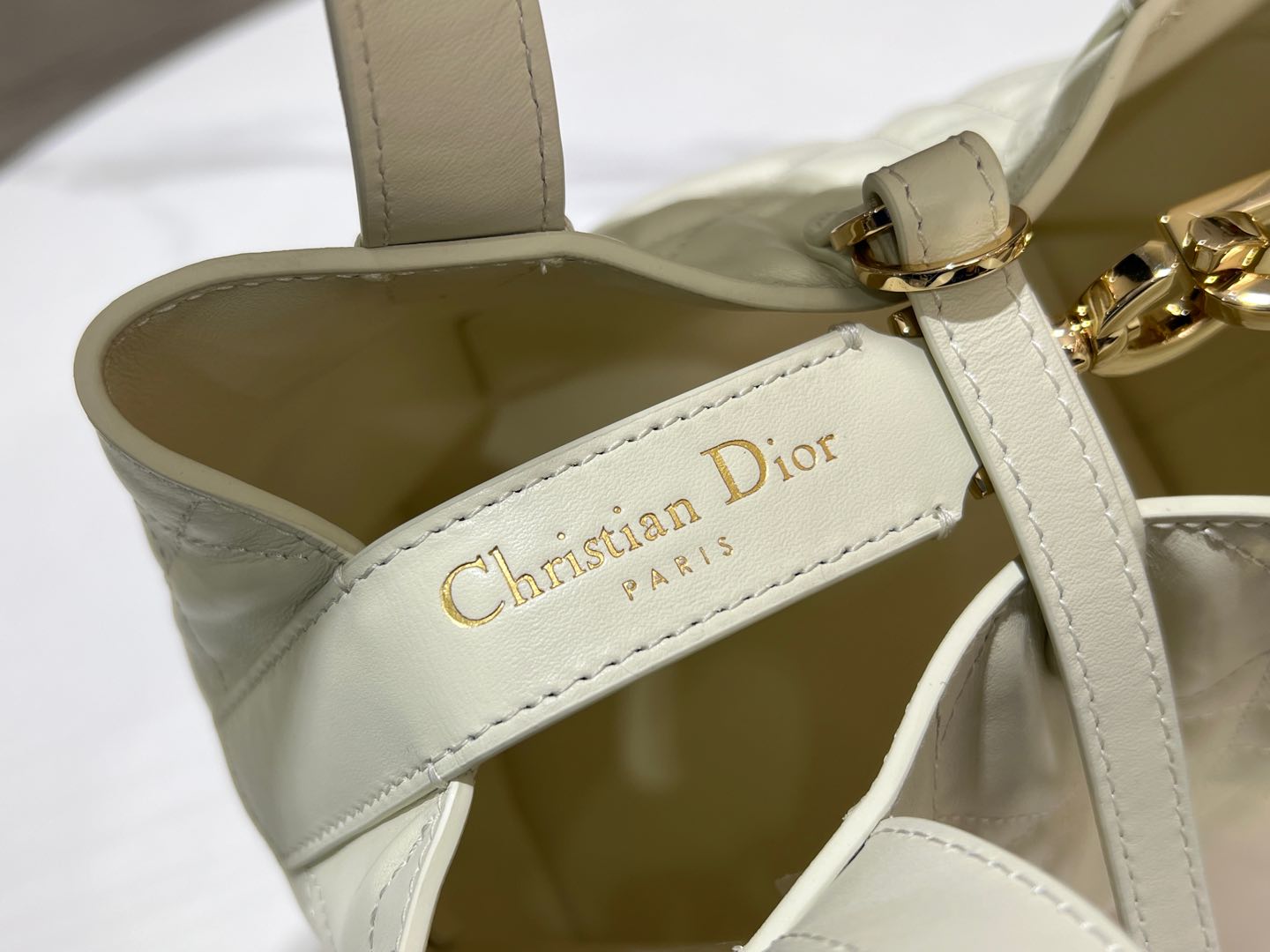 Dior Toujours Vertical Medium Bag