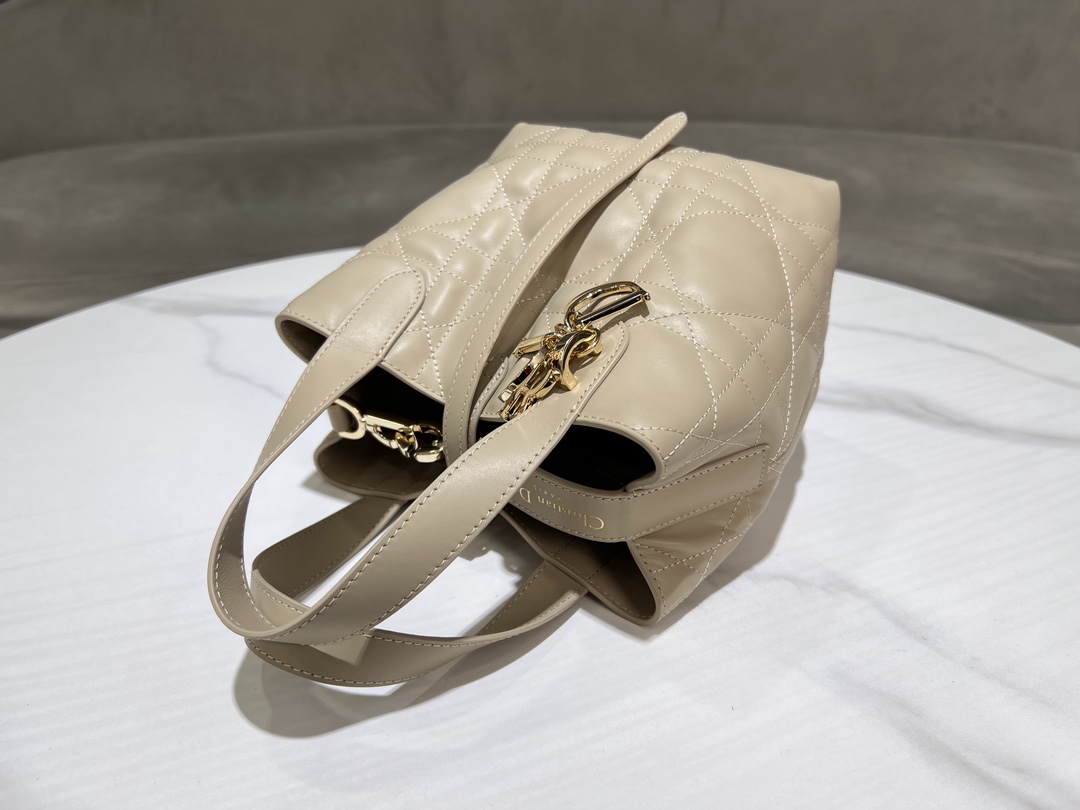 Dior Toujours Vertical Medium Bag