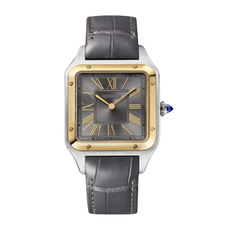 Santos De W2SA0028 43.5 mm x 31.4 mm Men Watch