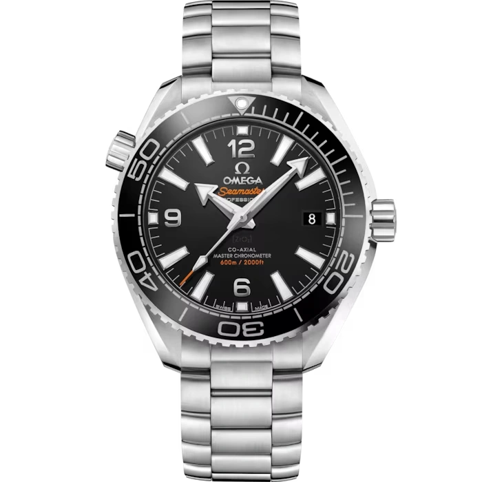 Seamaster Planet Ocean 600M 39.5mm Steel On Steel Mens Watch