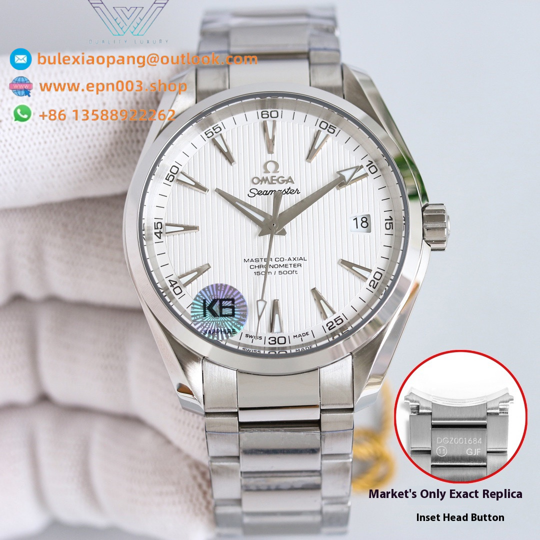 Seamaster Aqua Terr 150M steel on steel 38.5mm - Men's Watch