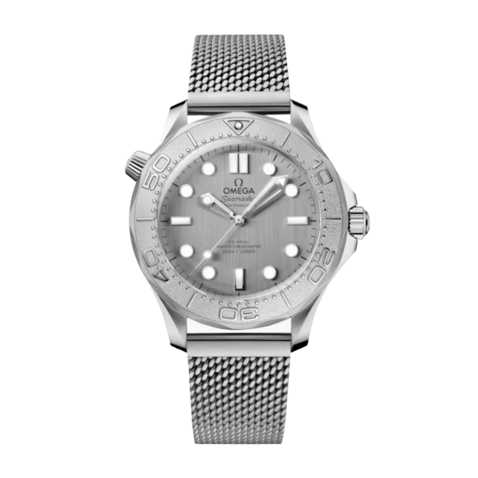 Seamaster Diver 300M Gray Dial Stainless Steel 42mm - Men Watch