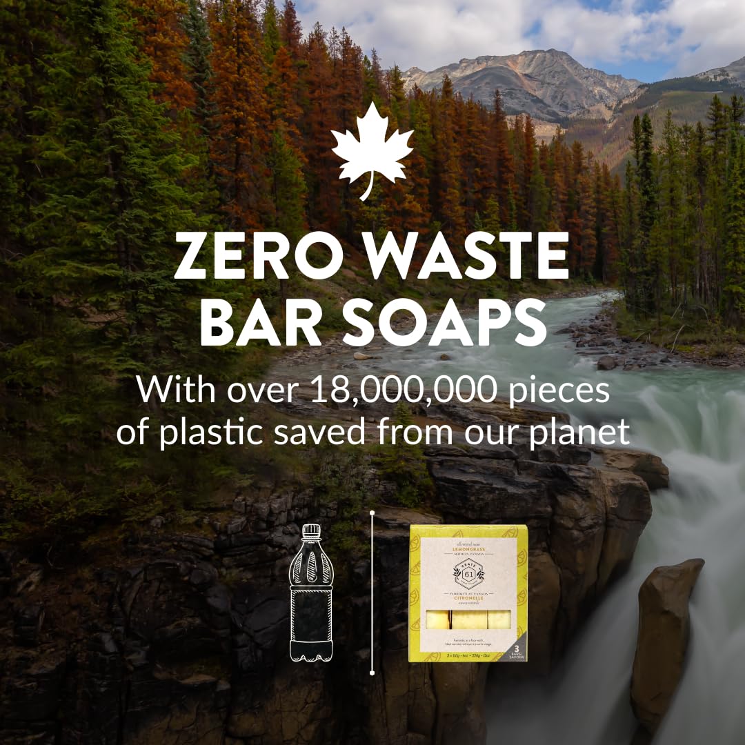 Handmade Vegan Natural Bar Soap Cold Pressed For Face And Body, With Premium Essential Oils, Eucalyptus & Peppermint For Men And Women 3 Pack (Lavender)