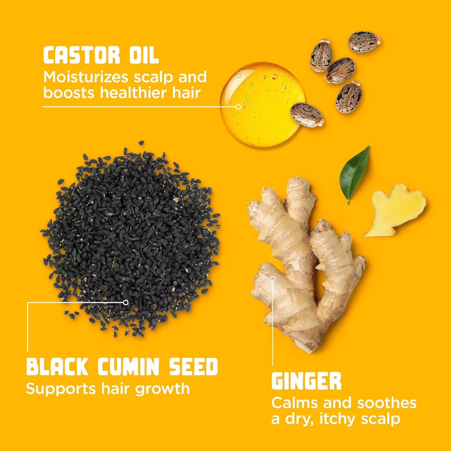 Carol's Daughter Goddess Strength Ultra Shield Pre Poo Hair Treatment for Wavy, Coily and Curly Hair, Protective Hair Detangler with Castor Oil for Weak Hair, 10.2 Fl Oz