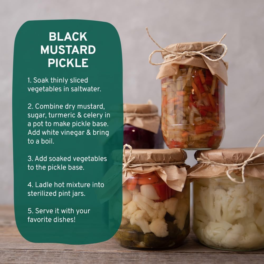 HANDPICK, Peppermint Tea, Eco-Conscious Tea Bags - 100 Count | Caffeine Free, Non-GMO | Minty, Fresh & Cool flavor | Direct From Source