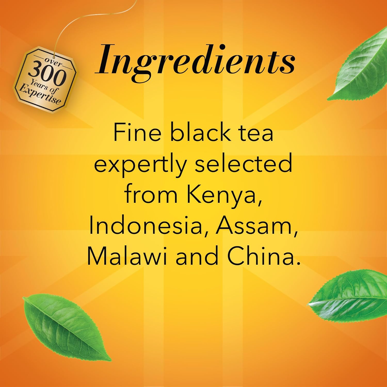 Twinings English Breakfast Black Tea K-Cup Pods for Keurig, 24 Count (Pack of 1), Smooth, Flavourful, Robust, Caffeinated, Enjoy Hot or Iced | Packaging May Vary