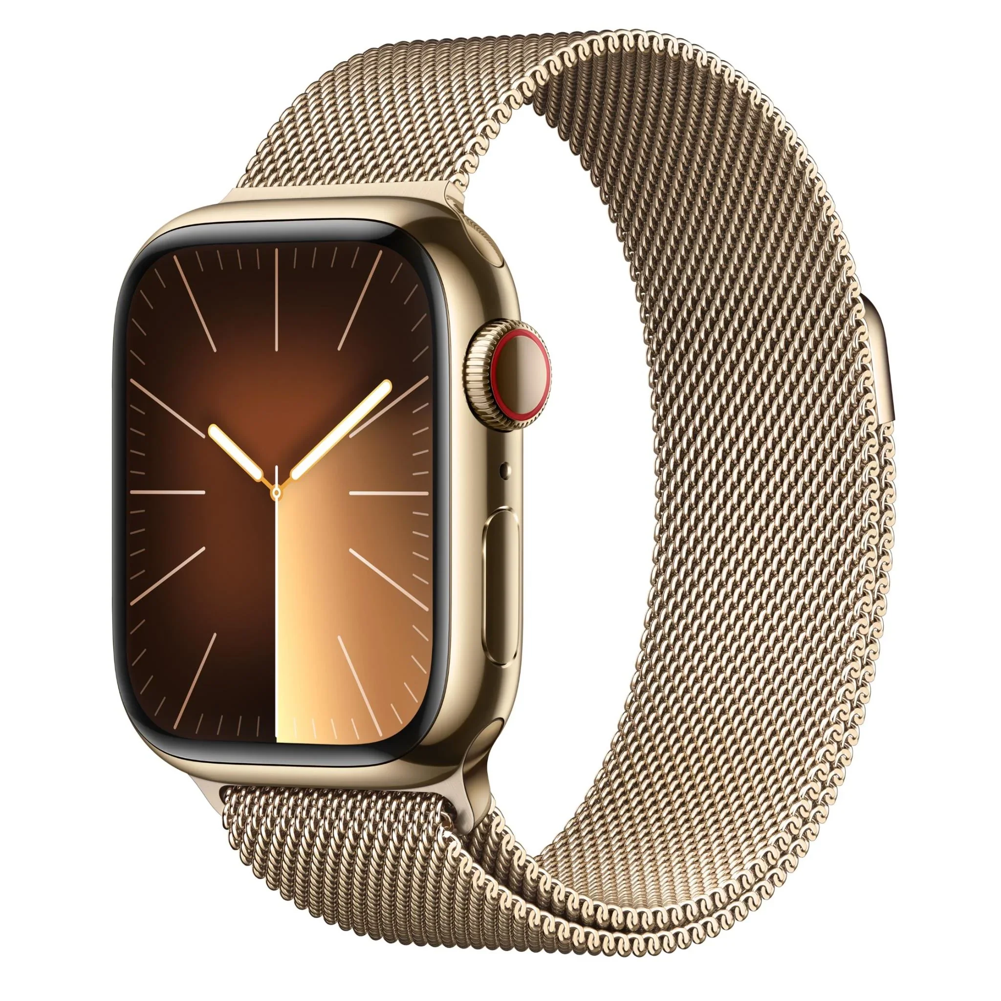 Series 9 Stainless Steel GPS + Cellular