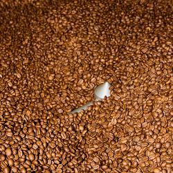 Verve Coffee Roasters Sermon Blend Coffee Beans