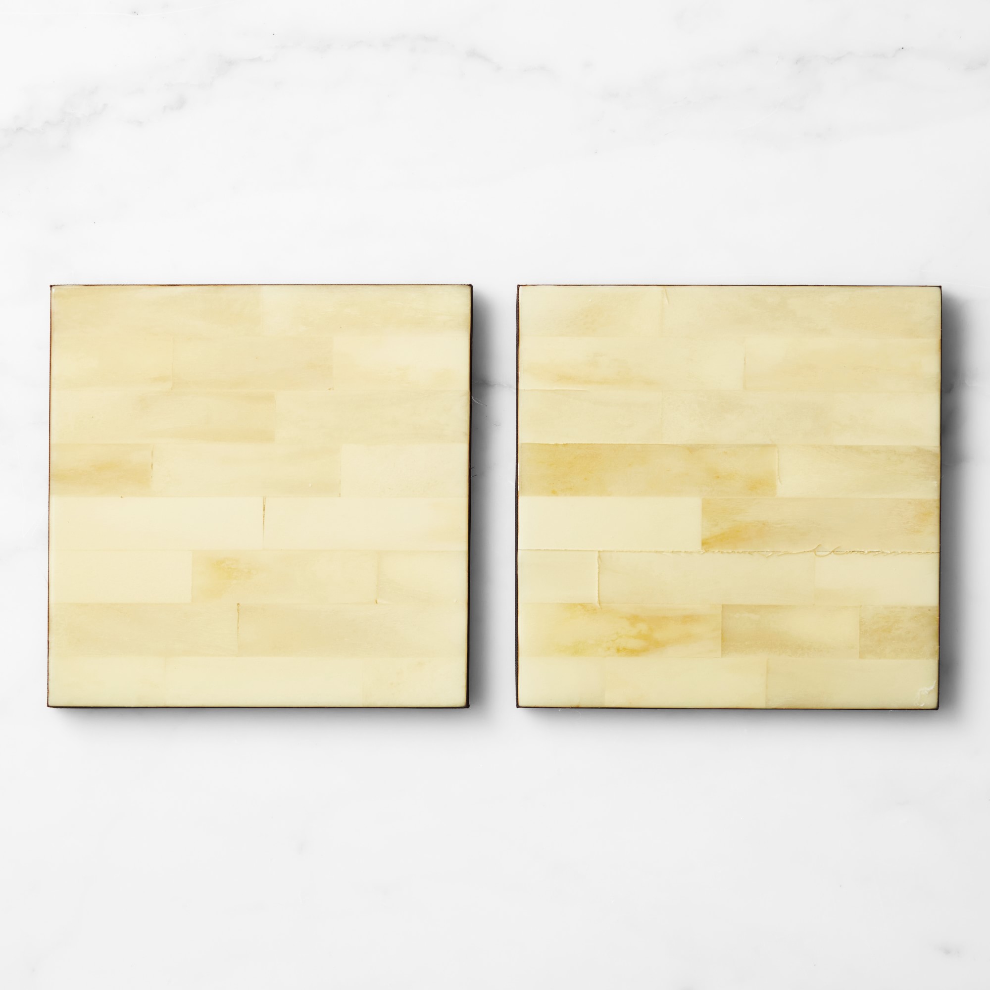 Horn and Bone Rectangular Tray