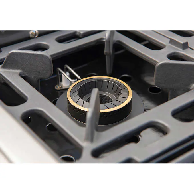 Kirkland Signature Stone Island 12-Burner Gas Grill