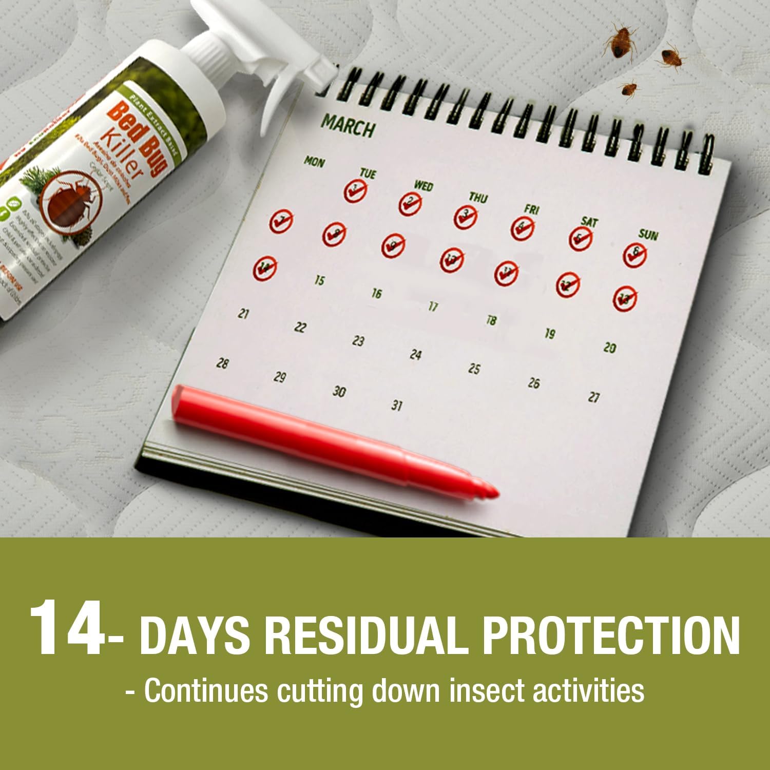 Bed Bug Killer 16 oz EcoVenger by EcoRaider, 100% Kill Efficacy, Bedbugs & Mites, Eggs & The Resistant, Lasting Protection, USDA BIO-Certified, Plant Extract Based & Non-Toxic, Child & Pet Safe