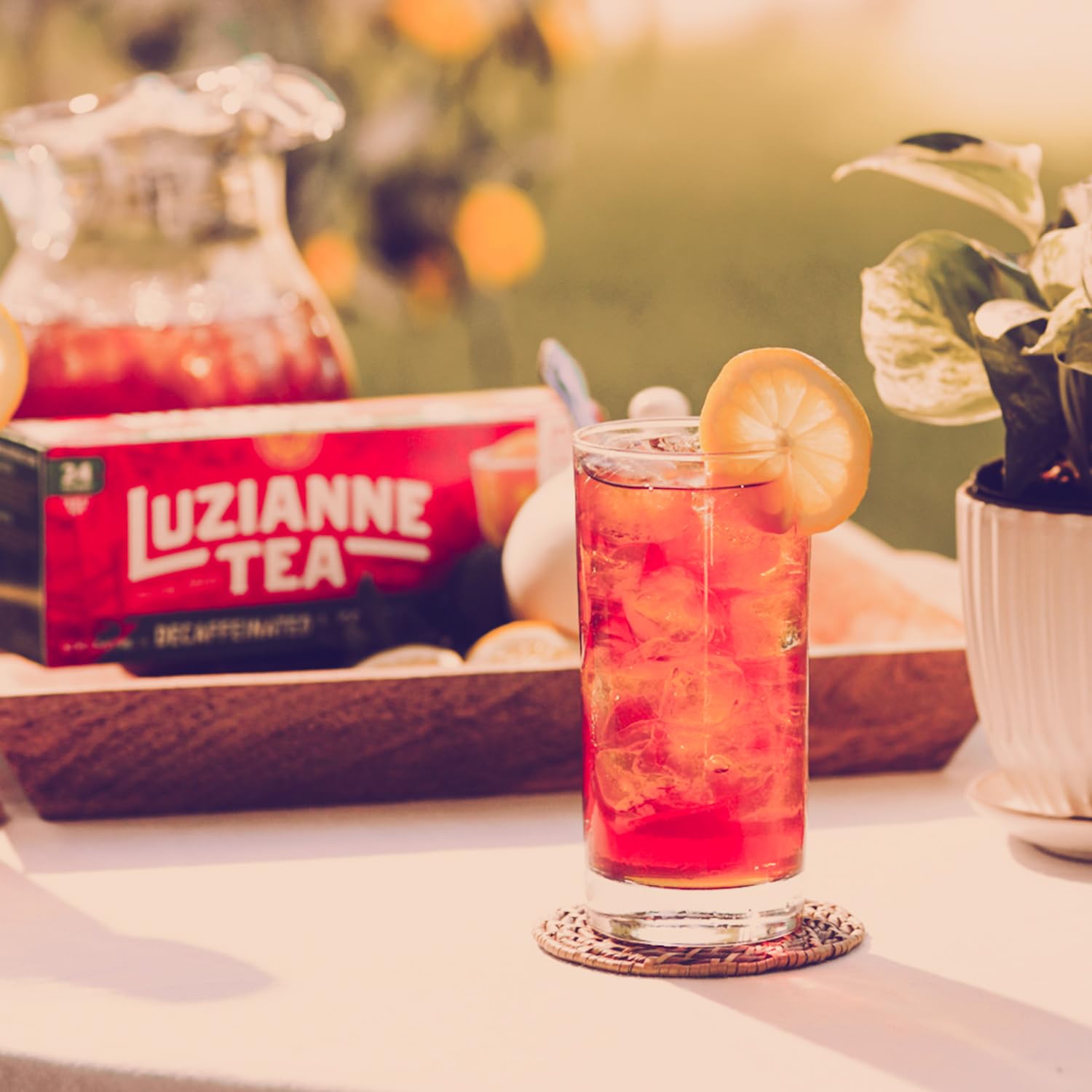 Luzianne Unsweetened Iced Tea Bags, Gallon Size, 24ct Box (Pack of 1)