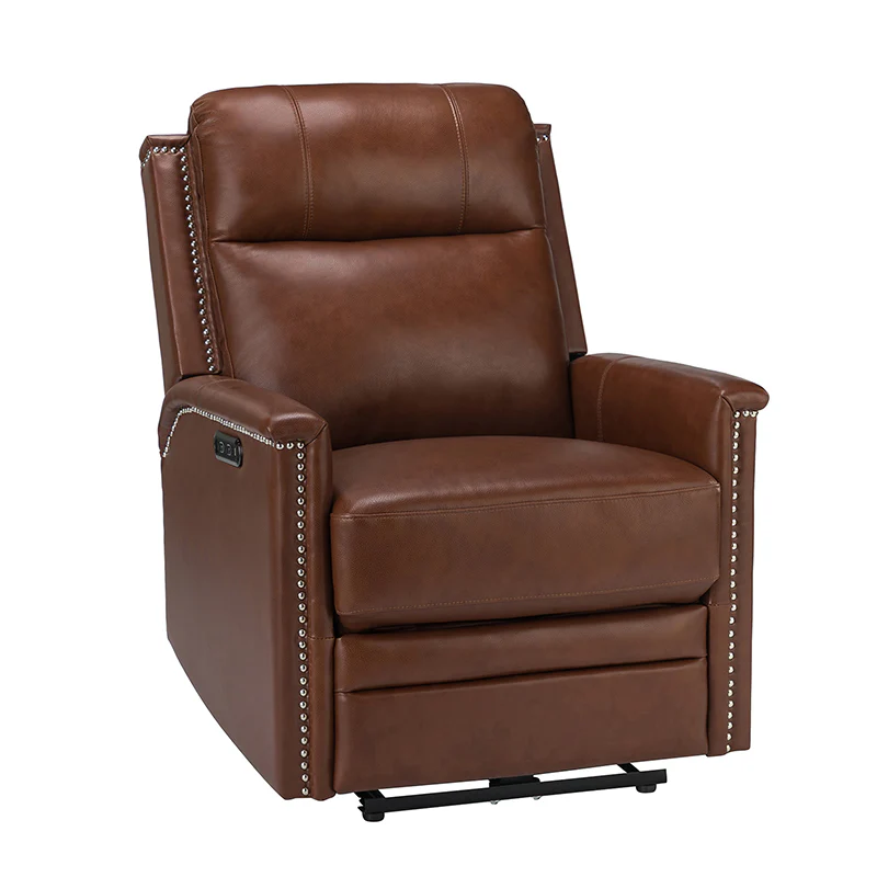 Ottfried Genuine Leather Power Recliner