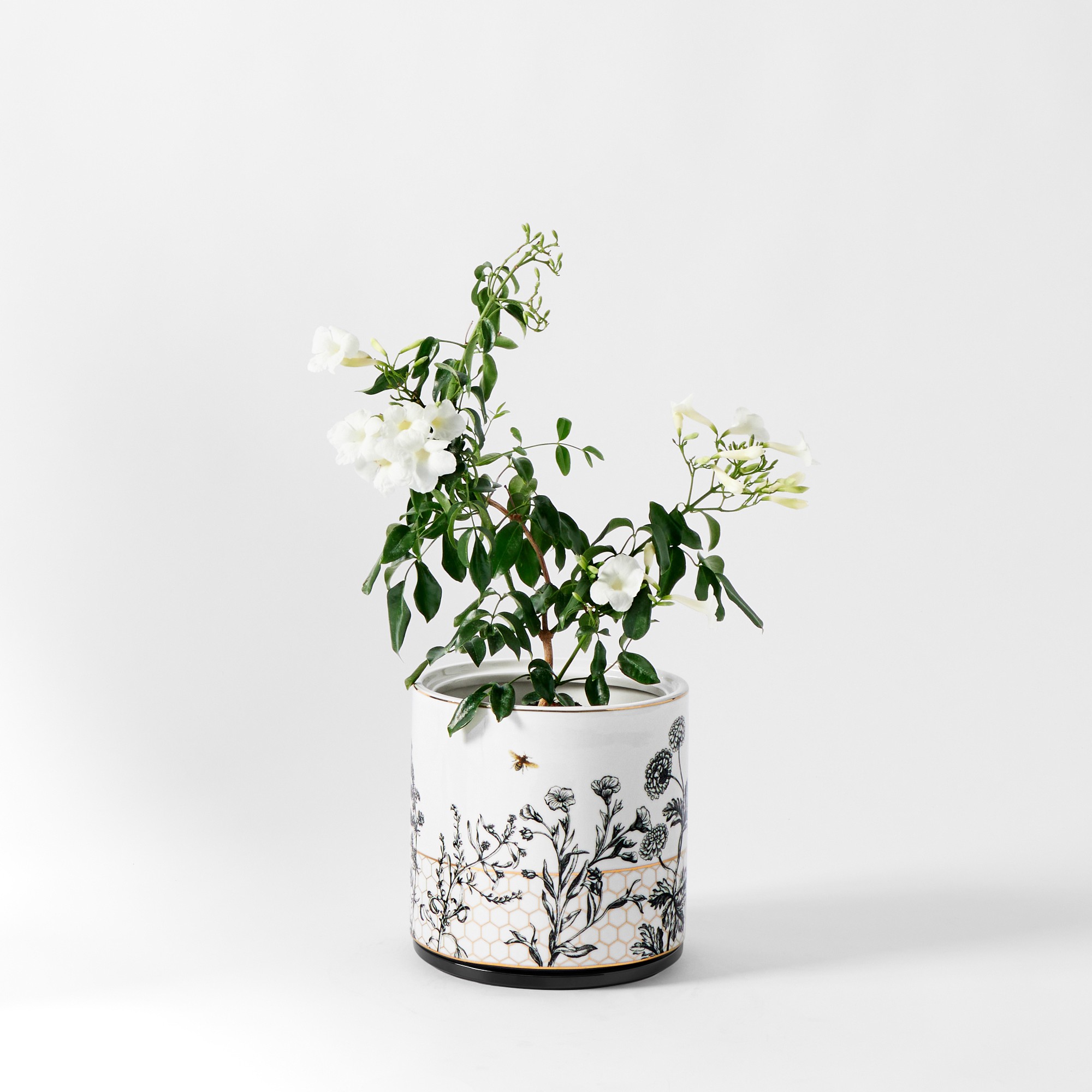 Honeycomb Ceramic Planter Collection