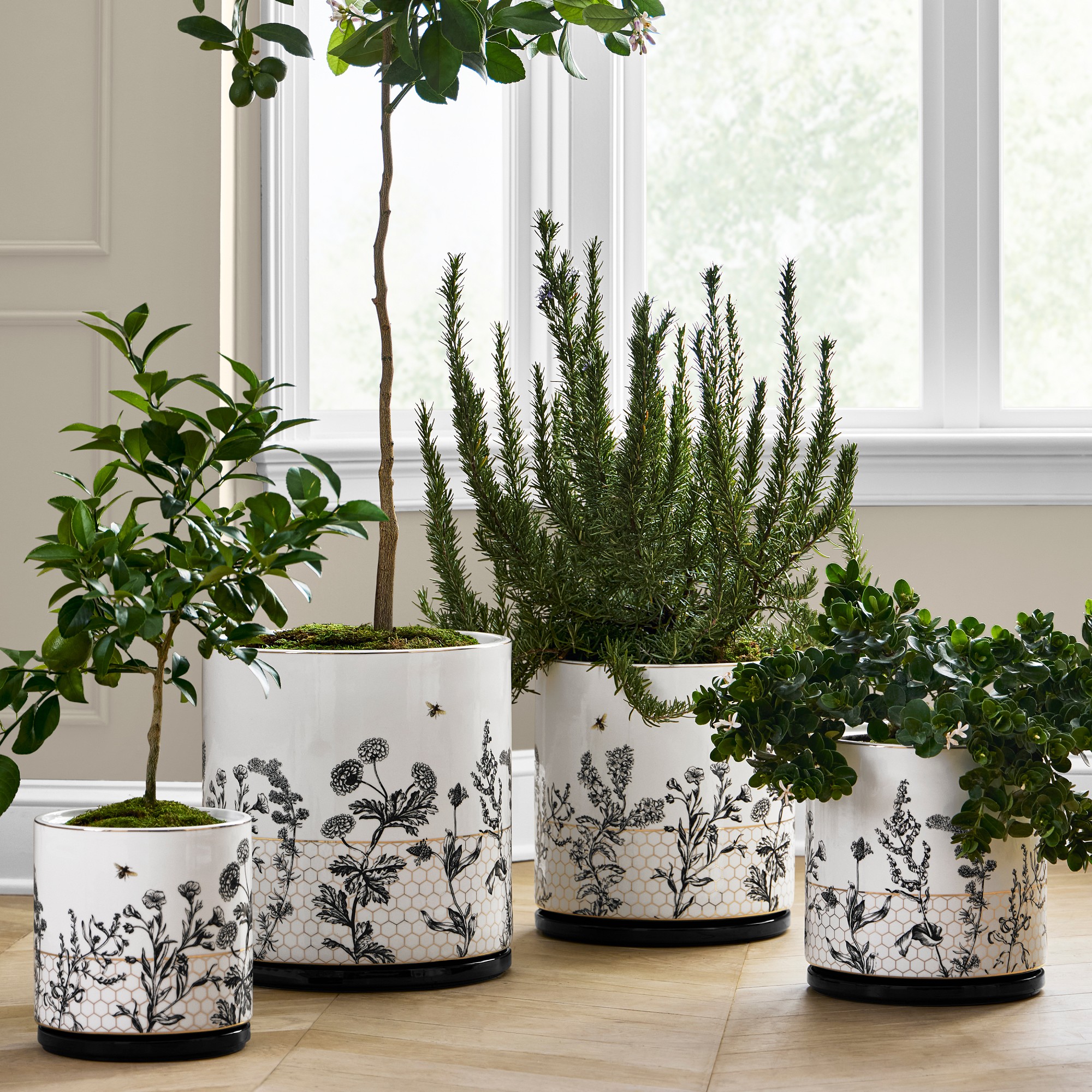 Honeycomb Ceramic Planter Collection